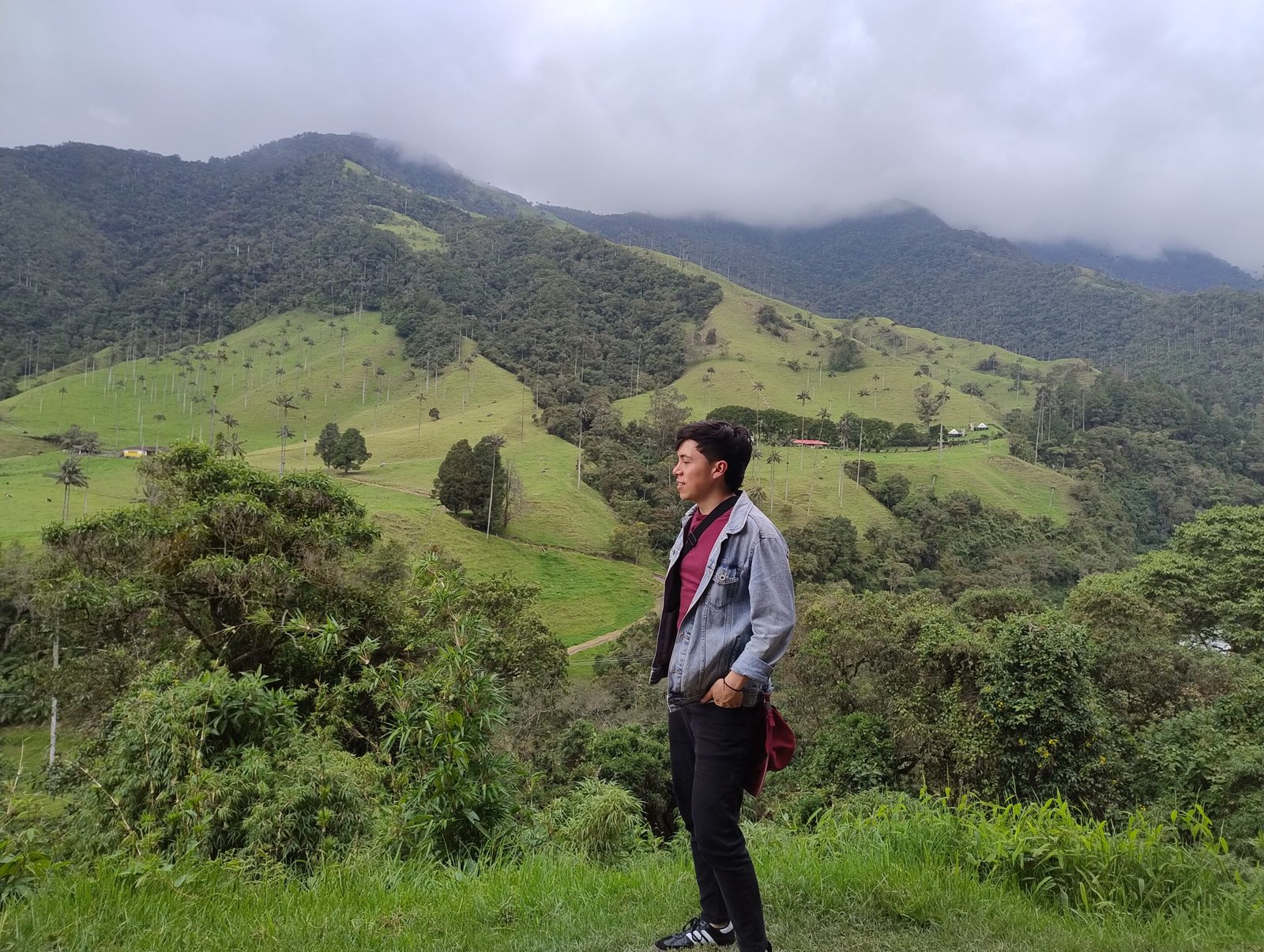 ¿Dónde está mi norte?